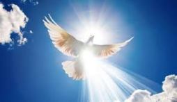 Dove and Holy Spirit