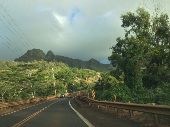 Hawaii-road
