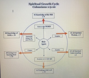 Life Cycle Christian